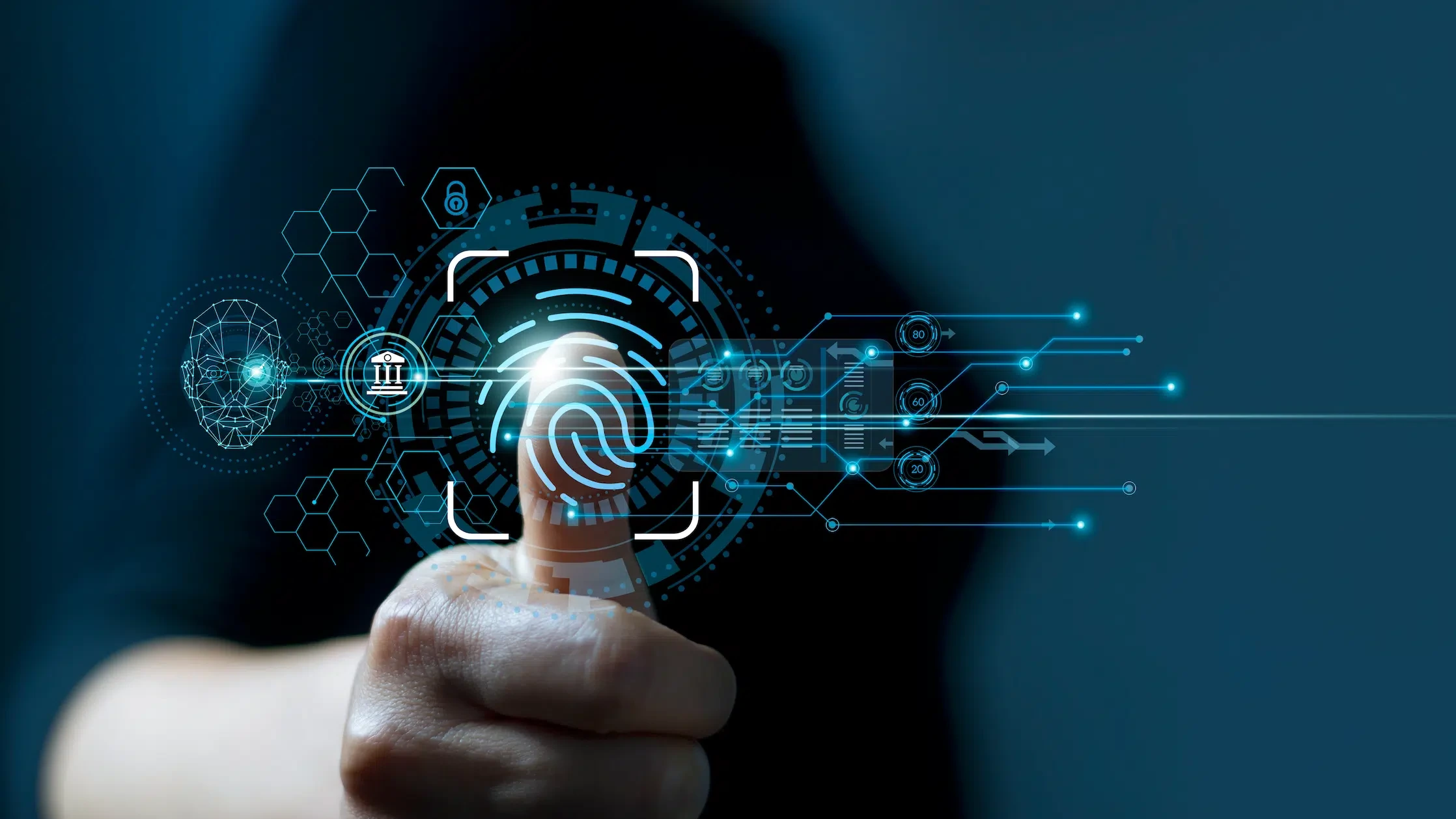 Digital identity access interface with fingerprint authentication controls