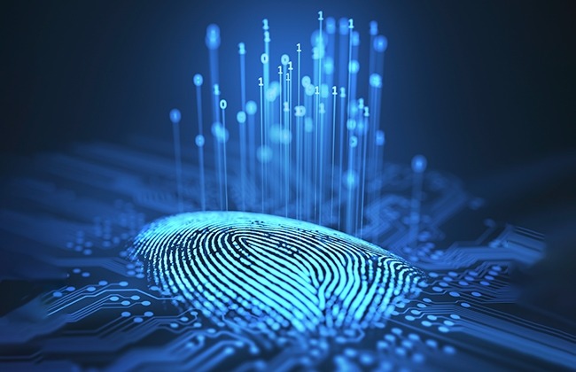 Glowing fingerprint on a digital circuit board representing identity and access security